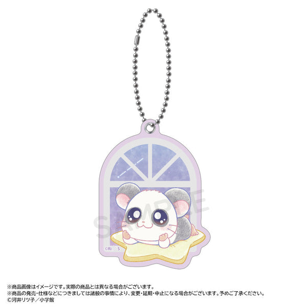 『とっとこハム太郎』~Twinkle Dreams~スライドミラー D.パンダくん